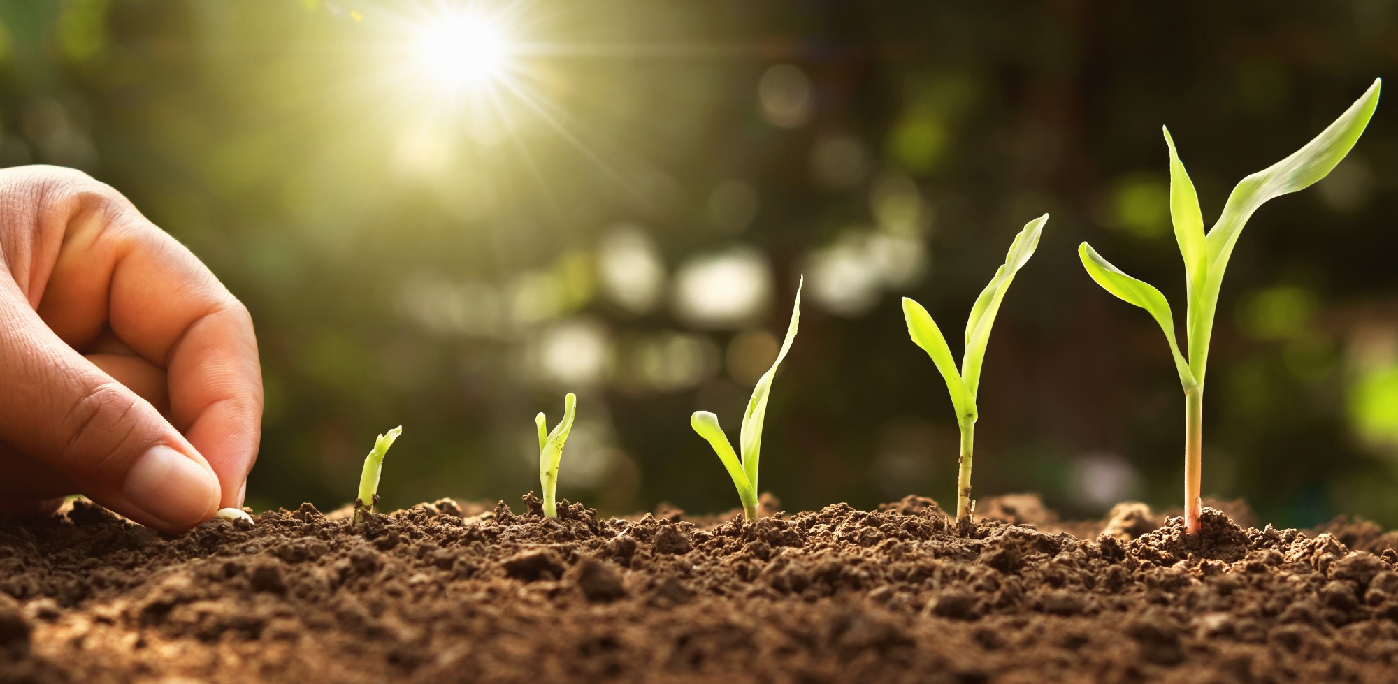Slika poljoprivredne apoteke Agro Smart Protect