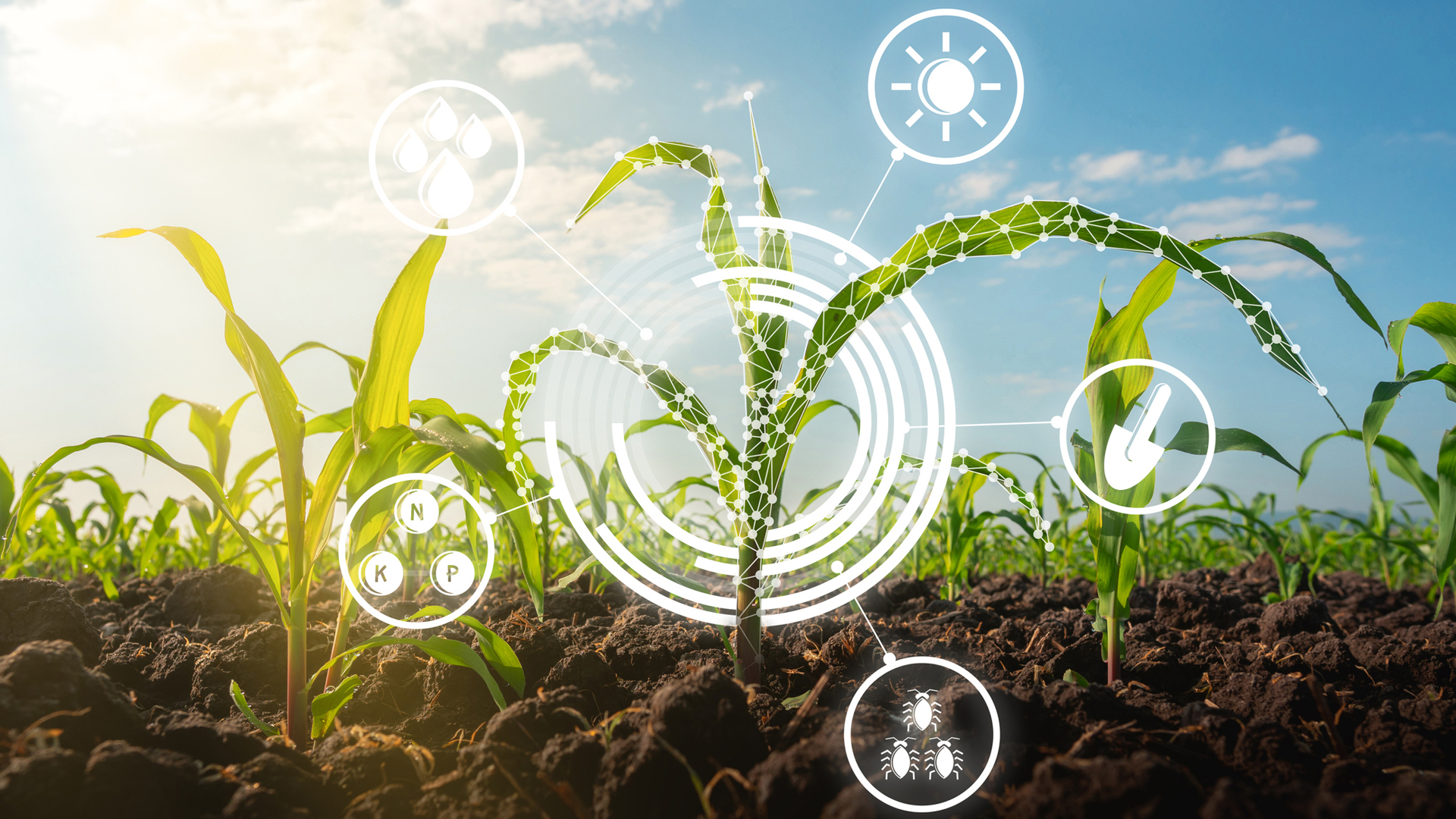 Slika poljoprivredne apoteke Agro Smart Protect